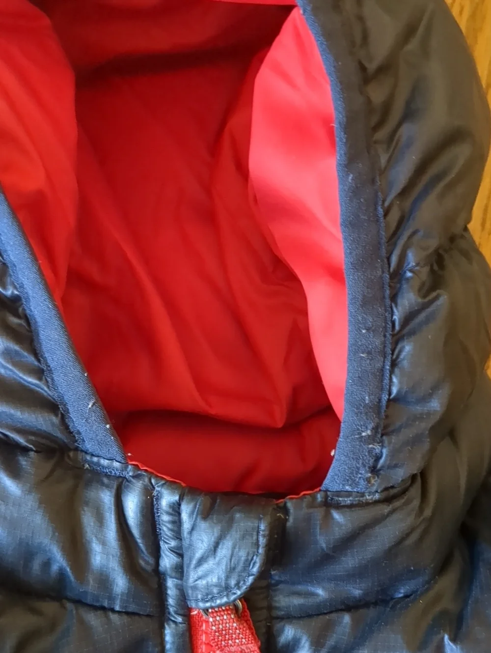 Baby Hi-Loft Down Sweater Hoody 12-18 M